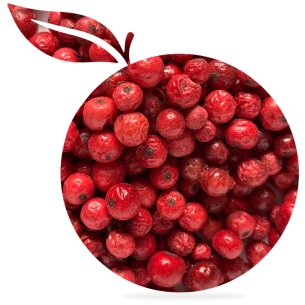 Freeze-dried red currants