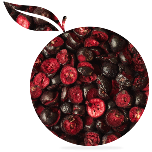 Aronie liofilizată