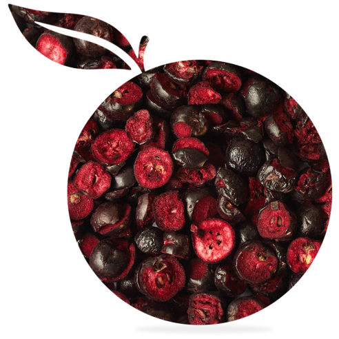 Aronie liofilizată
