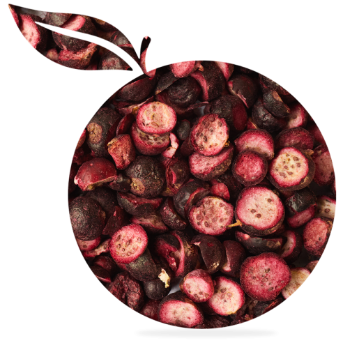 Coacaze neagre liofilizate